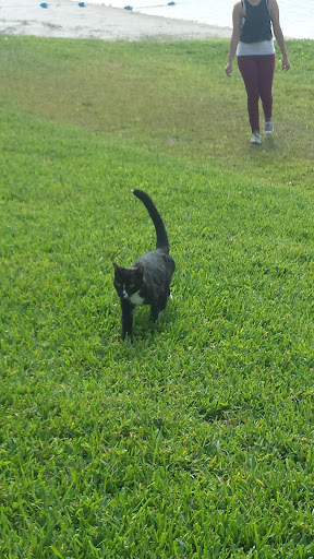 Community Center «Hammocks Community Association», reviews and photos, 9020 Hammocks Blvd, Miami, FL 33196, USA