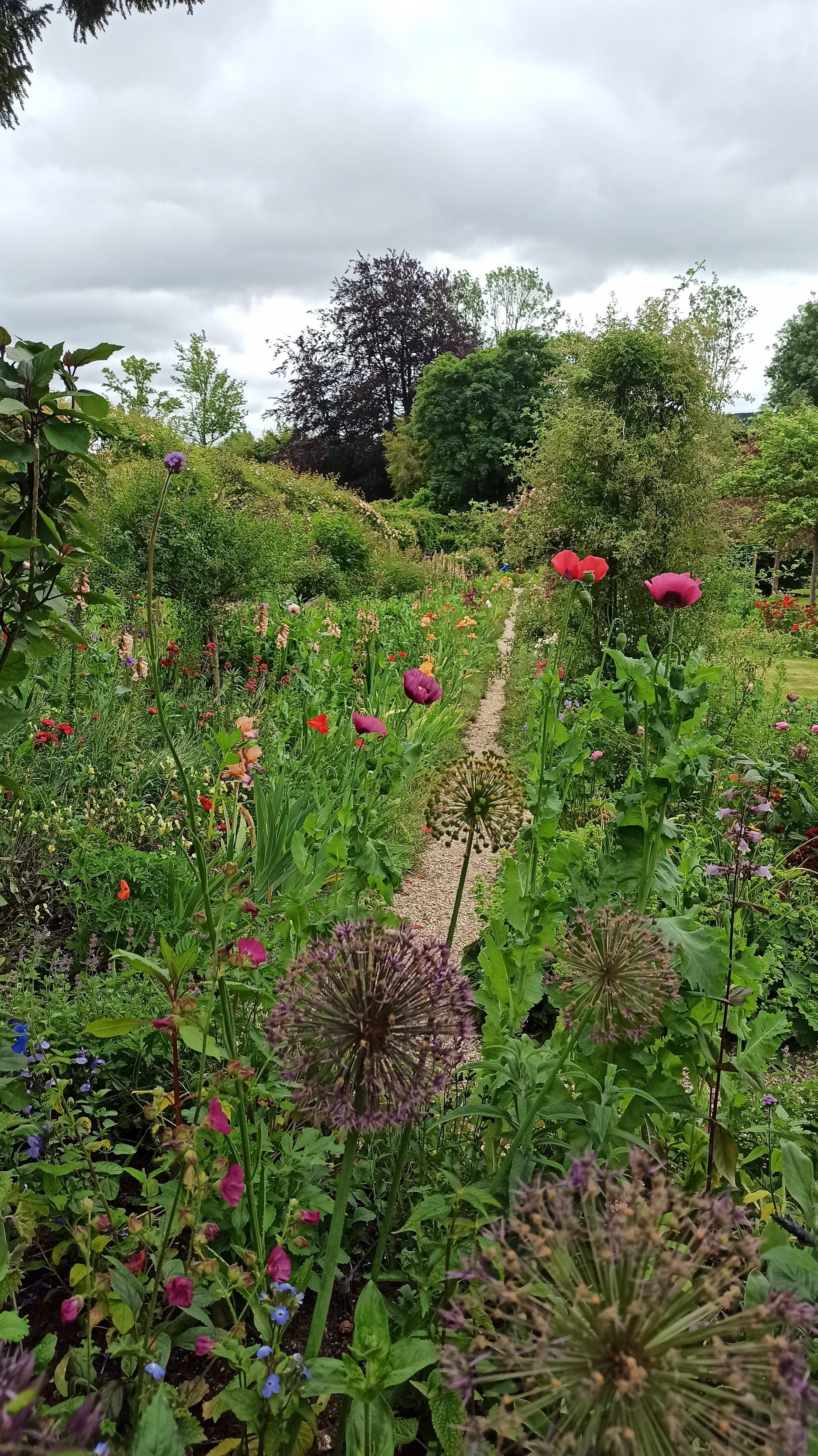 Photo n° 4 de l'avis de Marie.n fait le 30/05/2022 à 13:17