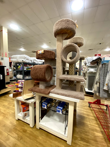 Department Store «HomeGoods», reviews and photos, 9041 Southside Blvd, Jacksonville, FL 32256, USA