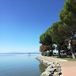 Photo n°8 de l'avis de Stefano.e fait le 05/09/2017 à 18:53 sur le  Ristorante Il Molo à Passignano sul Trasimeno