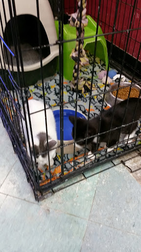 Pet Store «Petland», reviews and photos, 2123 Old Hudson Rd, St Paul, MN 55119, USA