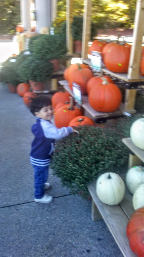 Supermarket «Big Y», reviews and photos, 7 Medway Rd, Milford, MA 01757, USA