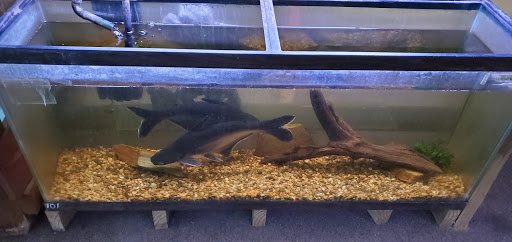 Pet Store «Boiling Springs Pet World», reviews and photos, 2651 Boiling Springs Rd, Spartanburg, SC 29316, USA