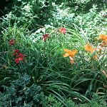 Photo n° 4 de l'avis de Ananas.a fait le 20/10/2018 à 22:01 pour Restaurant de la Maison de l'Amérique latine à Paris