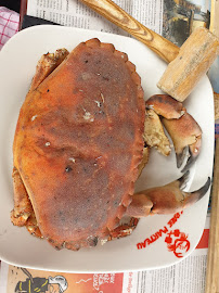 Metacarcinus magister du Restaurant de crabe Le Crabe Marteau à Brest - n°11