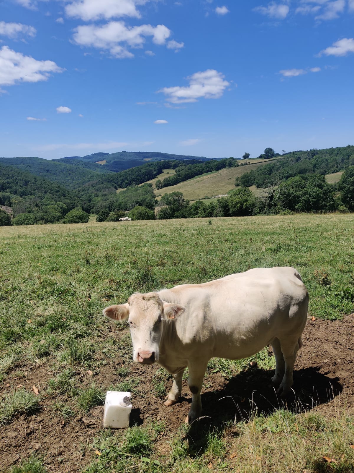 Photo n° 2 de l'avis de Elsa.l fait le 01/07/2022 à 08:42