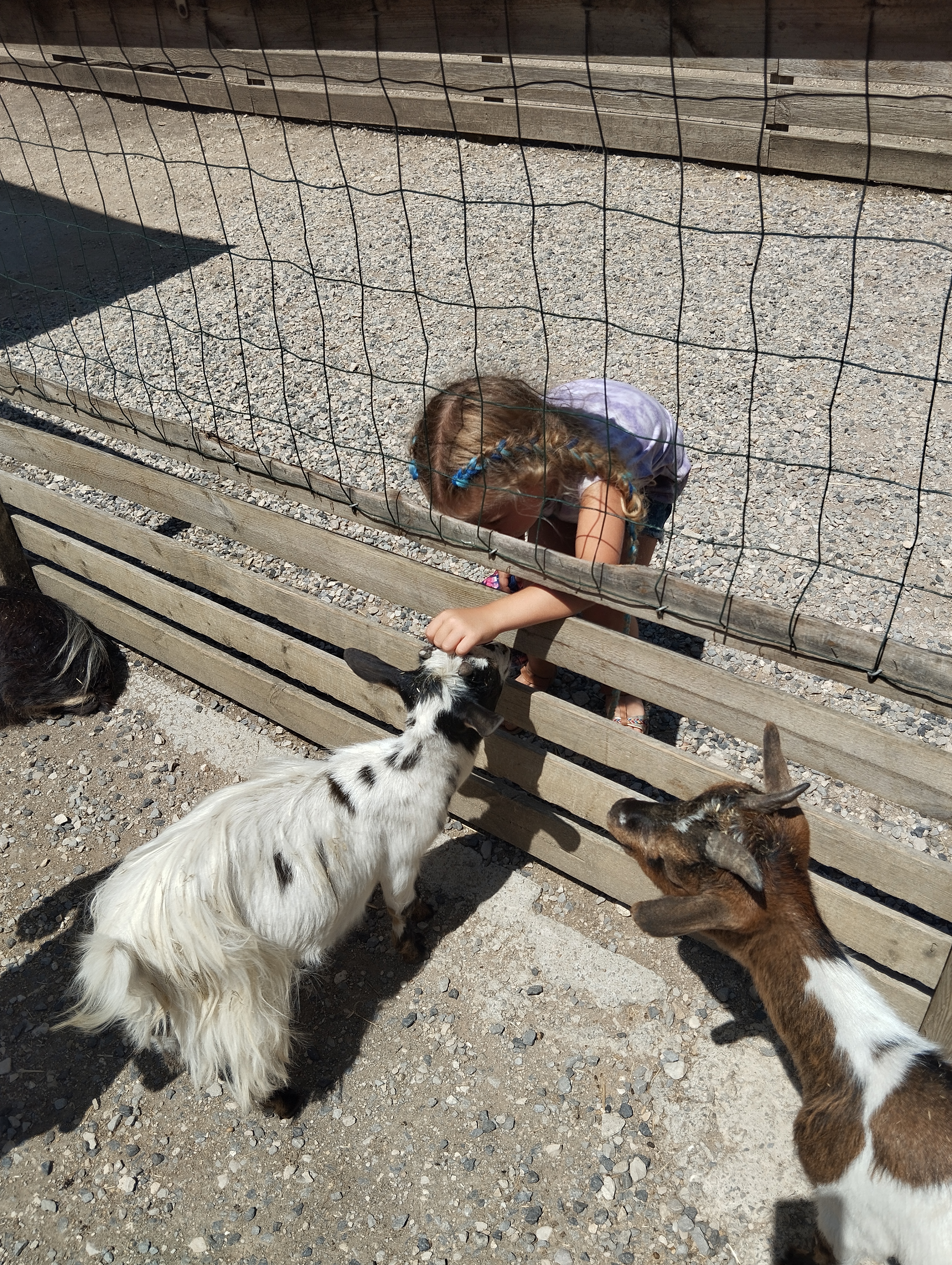 Photo n° 14 de l'avis de Seb.e fait le 17/07/2023 à 19:09