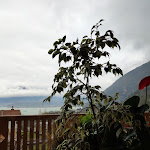 Photo n°1 de l'avis de Luca.o fait le 06/04/2019 à 13:28 sur le  La Baita à Alpago