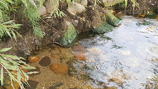 Nature Preserve «Kishwauketoe Nature Conservancy», reviews and photos, 251 Elkhorn Rd, Williams Bay, WI 53191, USA