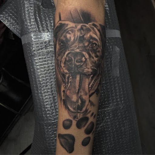 Explore hyena tattoo ideas, creative tattoo ideas in Hinesville, available at Dark Horse Art Studios