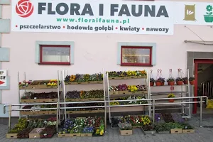 Kwiaciarnia FLORA I FAUNA image