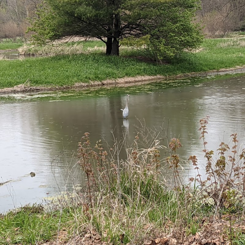 Killbuck Wetlands