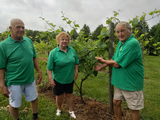 Winery «Lebanon Green Vineyards», reviews and photos, 589 Exeter Rd, Lebanon, CT 06249, USA