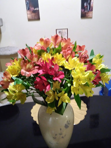 Florist «Axelrod Flowers», reviews and photos, 4429 Whitaker Ave, Philadelphia, PA 19120, USA