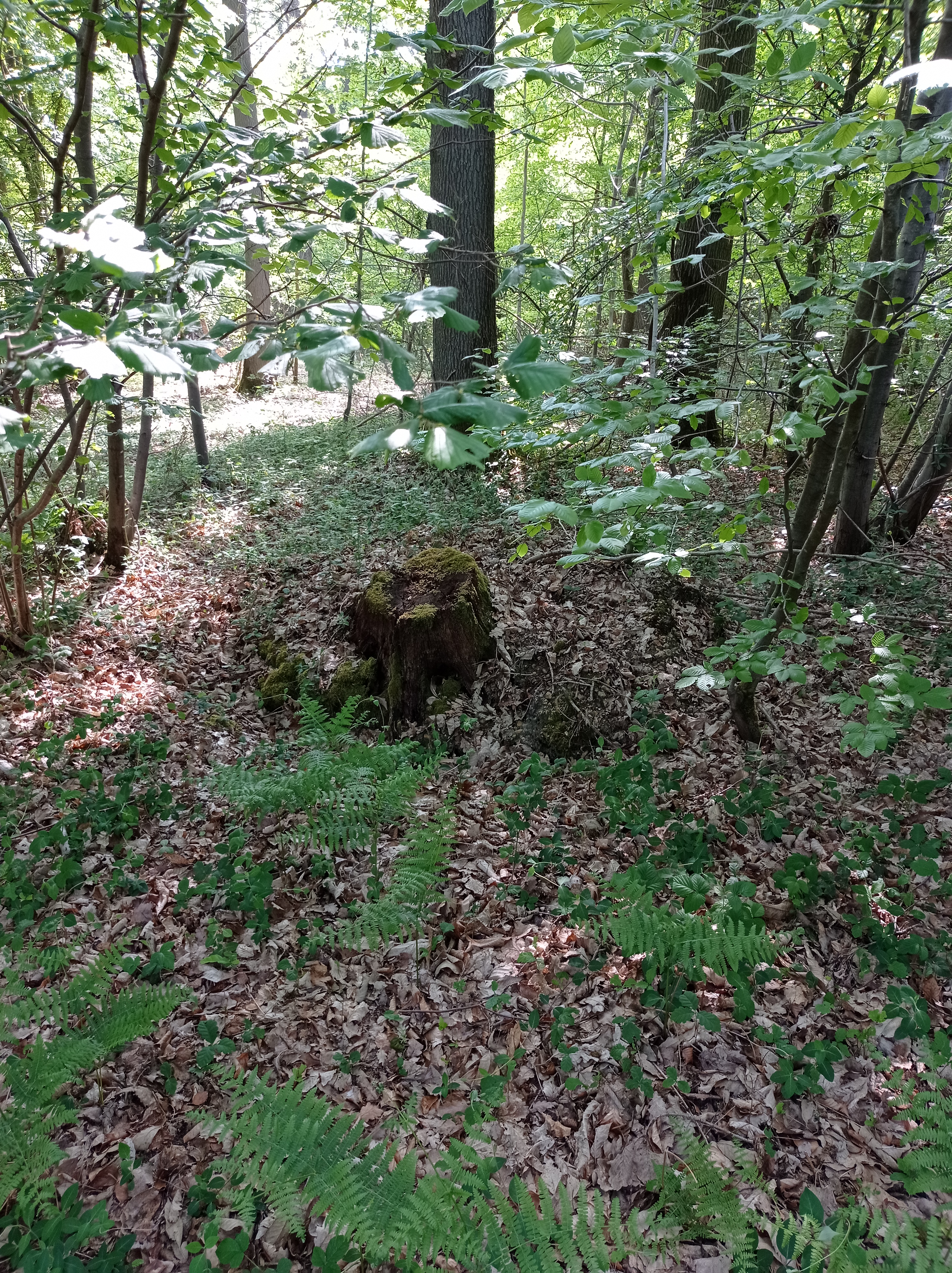 Photo n° 1 de l'avis de Michel.a fait le 09/05/2022 à 16:12