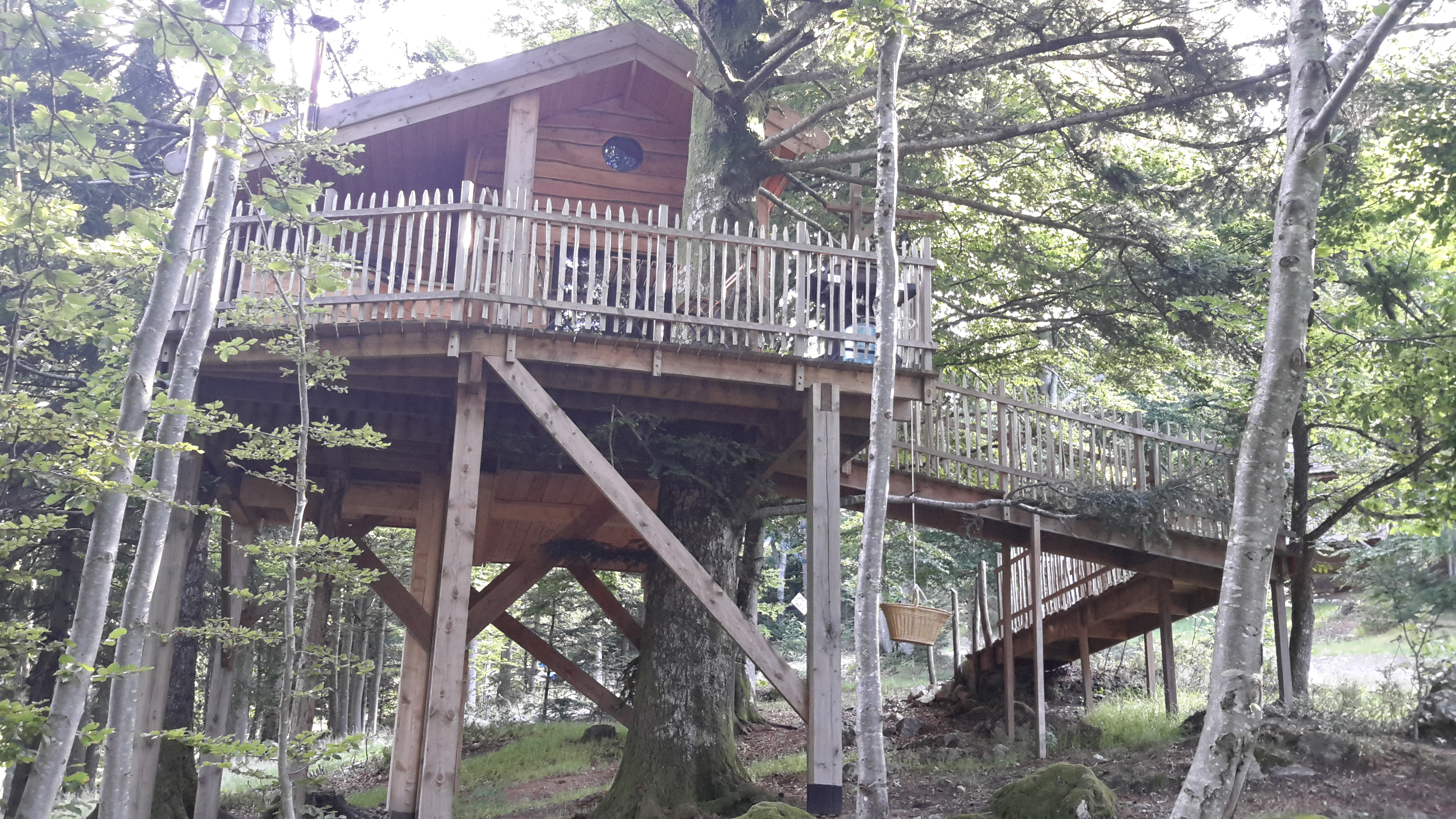 Photo n° 3 de l'avis de Philippe. fait le 20/07/2017 à 20:47