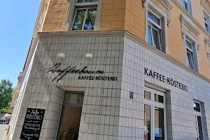 Kaffeebaum image