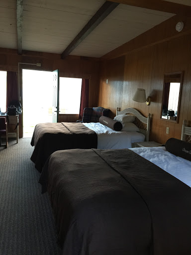 National Park «Olympic National Park», reviews and photos