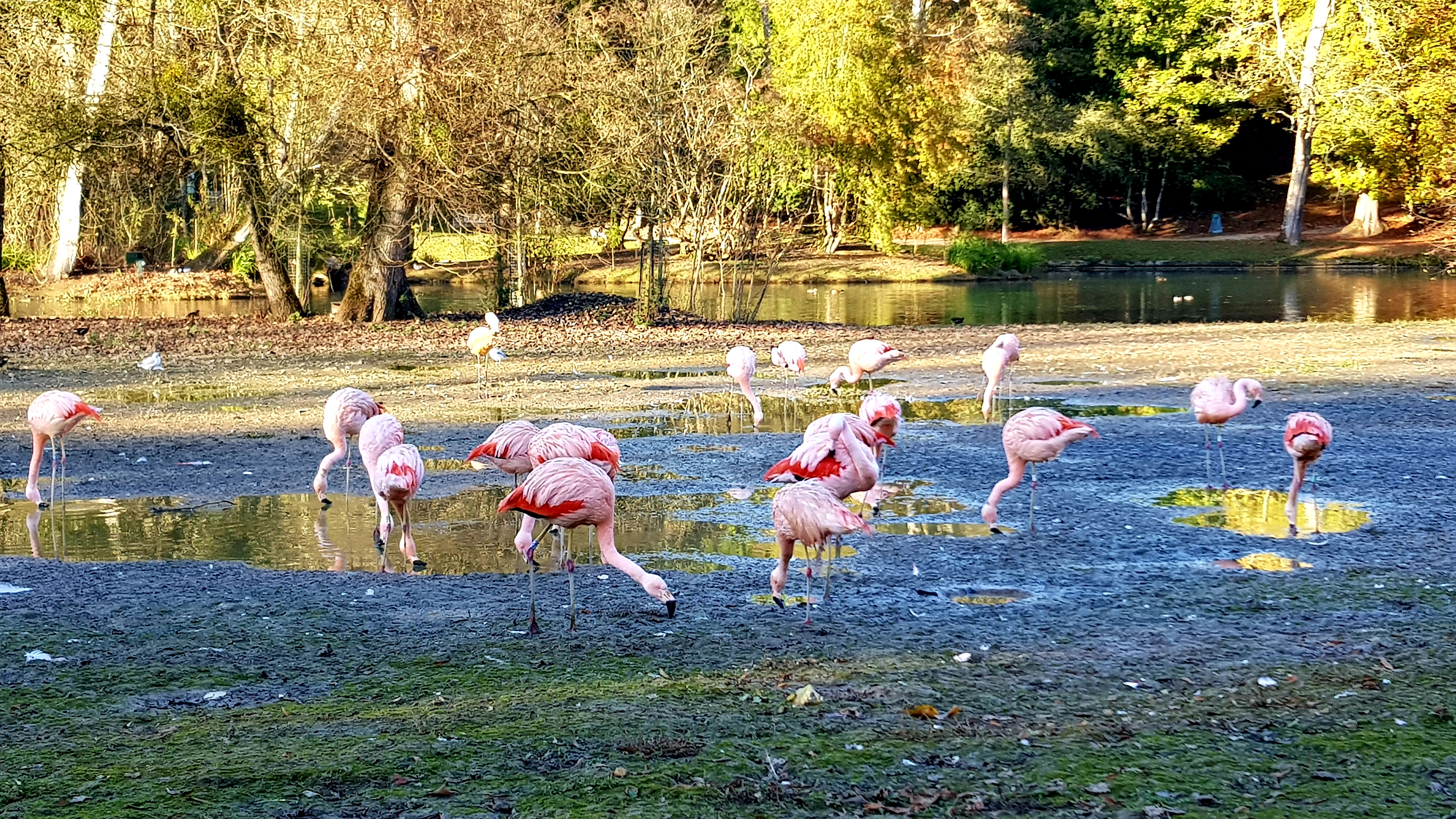 Photo n° 13 de l'avis de Morglaz.c fait le 10/11/2021 à 10:42