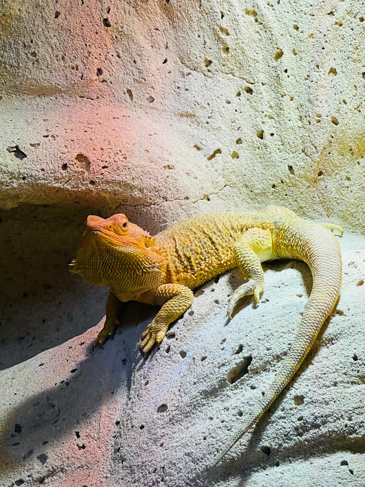 Photo n° 3 de l'avis de Marie.r fait le 11/06/2022 à 17:39