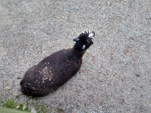 Tourist Attraction «Tree To Tree Cape May», reviews and photos, 707 U.S. 9, Cape May Court House, NJ 08210, USA