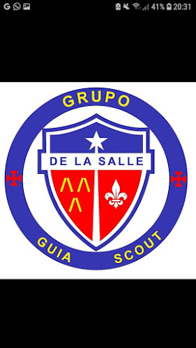 Grupo de scout dls "hno.Juan Michellis" Talca