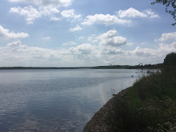Weststrand FKK'in fotoğrafı çok temiz temizlik seviyesi ile