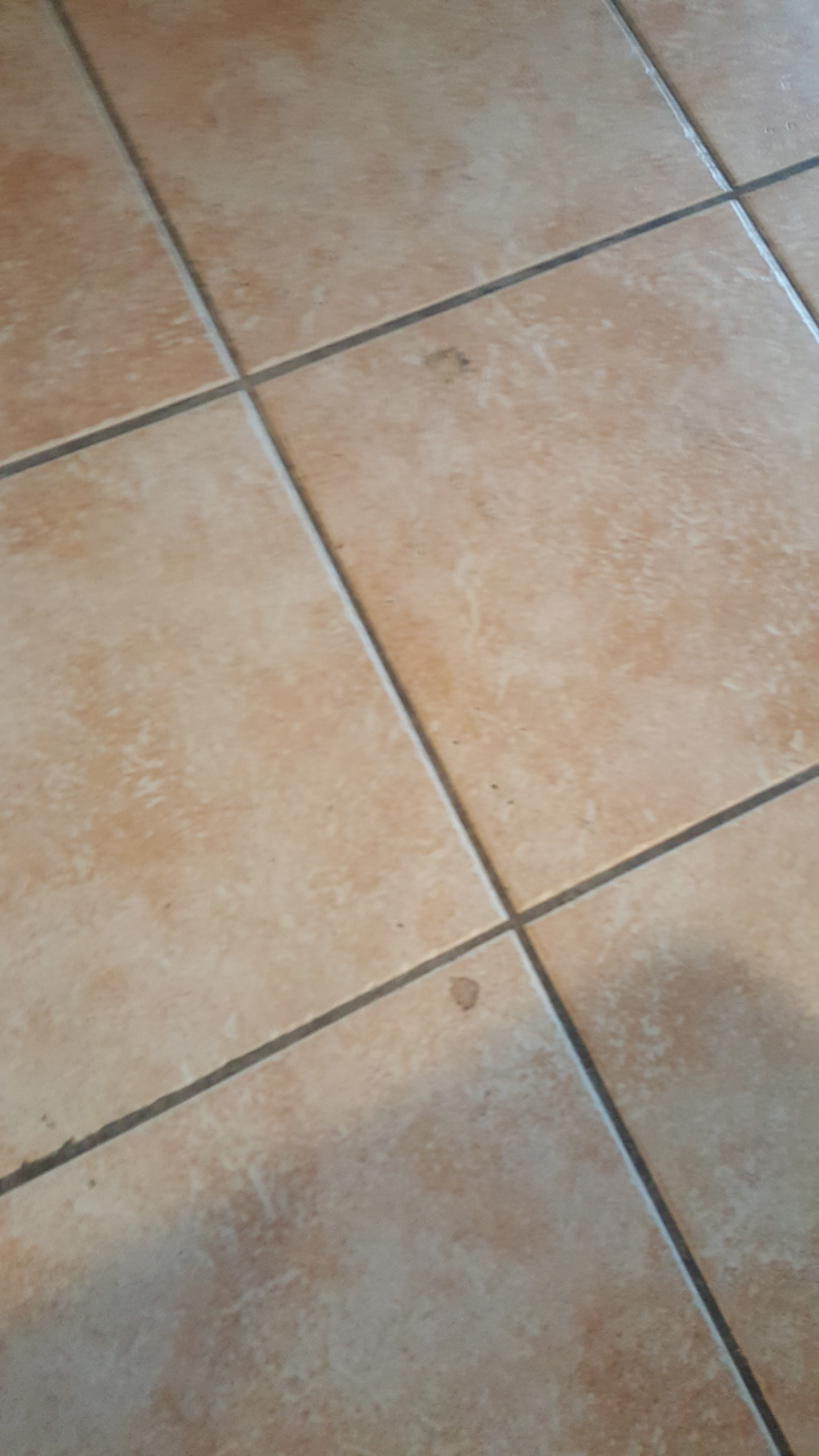 Photo n° 4 de l'avis de Alexandra.e fait le 28/02/2018 à 10:19