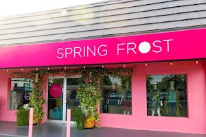 SPRING FROST Boutique image