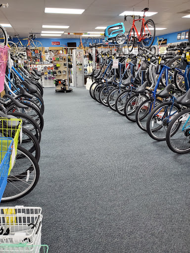 Bicycle Store «Fort Myers Cyclery - Schwinn GT Jamis Colnago», reviews and photos, 3630 S Cleveland Ave, Fort Myers, FL 33901, USA