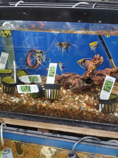 Pet Store «Brooklyn Zoo & Aquarium Pet Store», reviews and photos, 2377 Ralph Ave, Brooklyn, NY 11234, USA