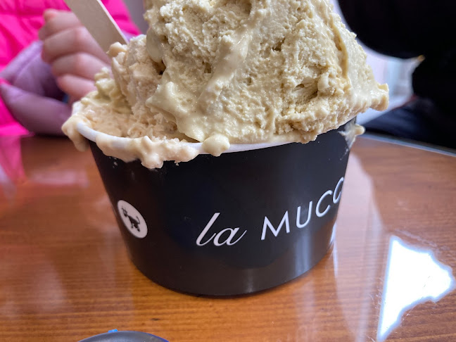 La Mucca Nera - Ice cream