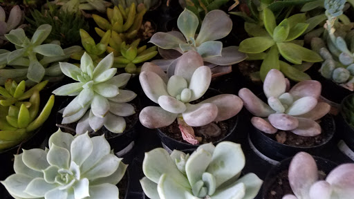 Home Improvement Store «The Home Depot», reviews and photos, 4646 28th St SE, Grand Rapids, MI 49512, USA