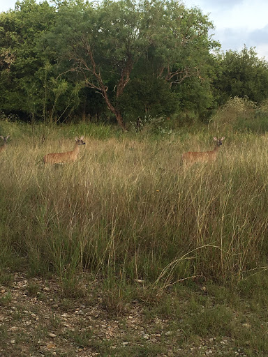 Park «Bamberger Nature Park», reviews and photos, 12401 Babcock Rd, San Antonio, TX 78249, USA