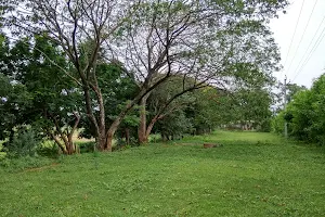 Sri Surya Rao Park image