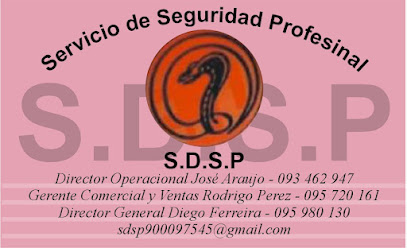 Sdsp servicios de seguridad profesional