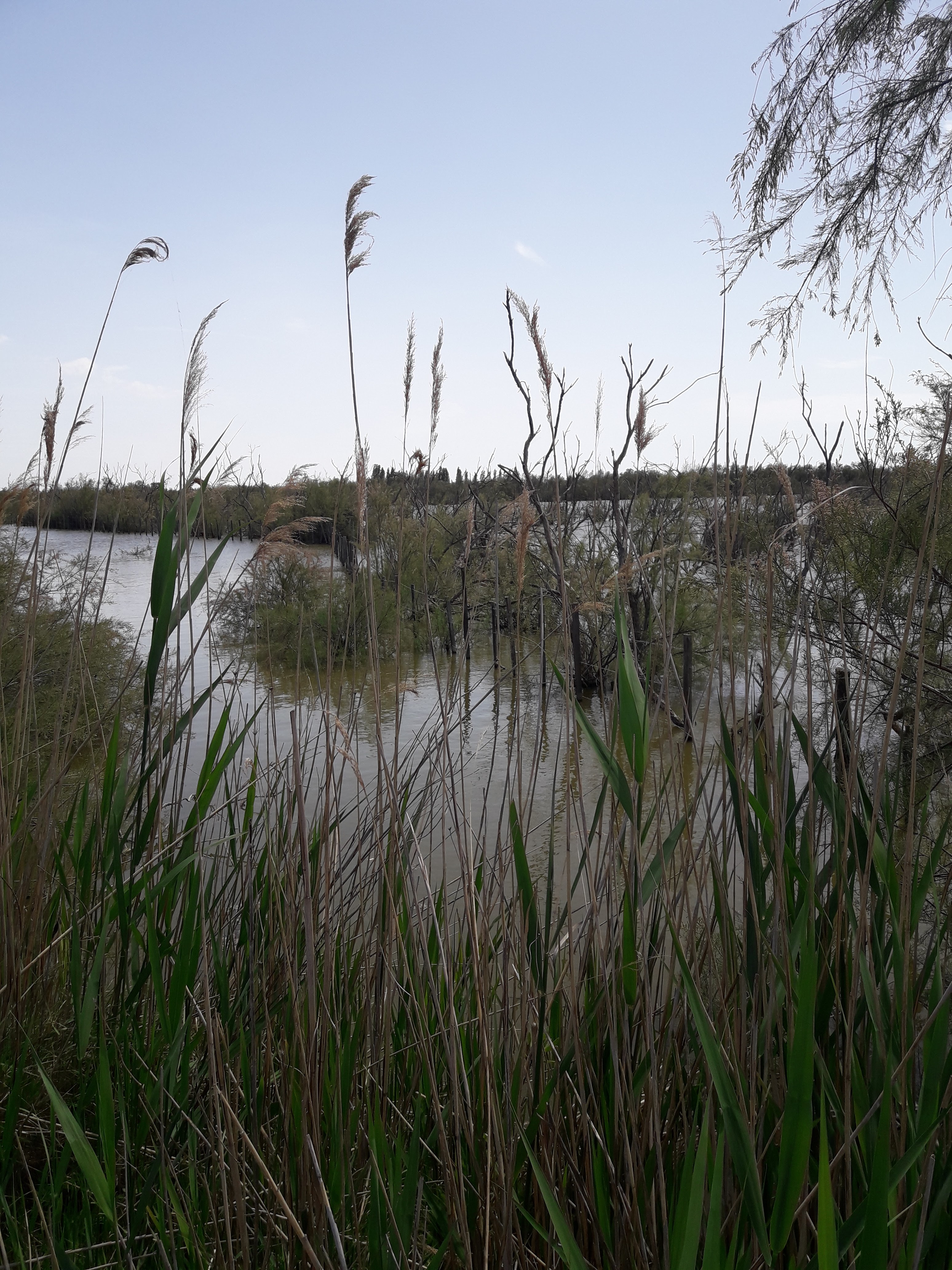 Photo n° 13 de l'avis de Mireille.o fait le 07/05/2018 à 14:34