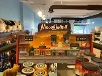 Taj Mutt Hal - Car repair in Denver, CO, Denver - Rated 4.9/5