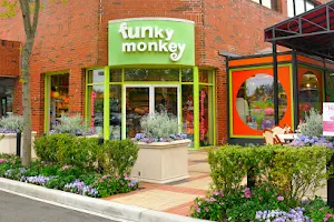 Funky Monkey Toys & Books image