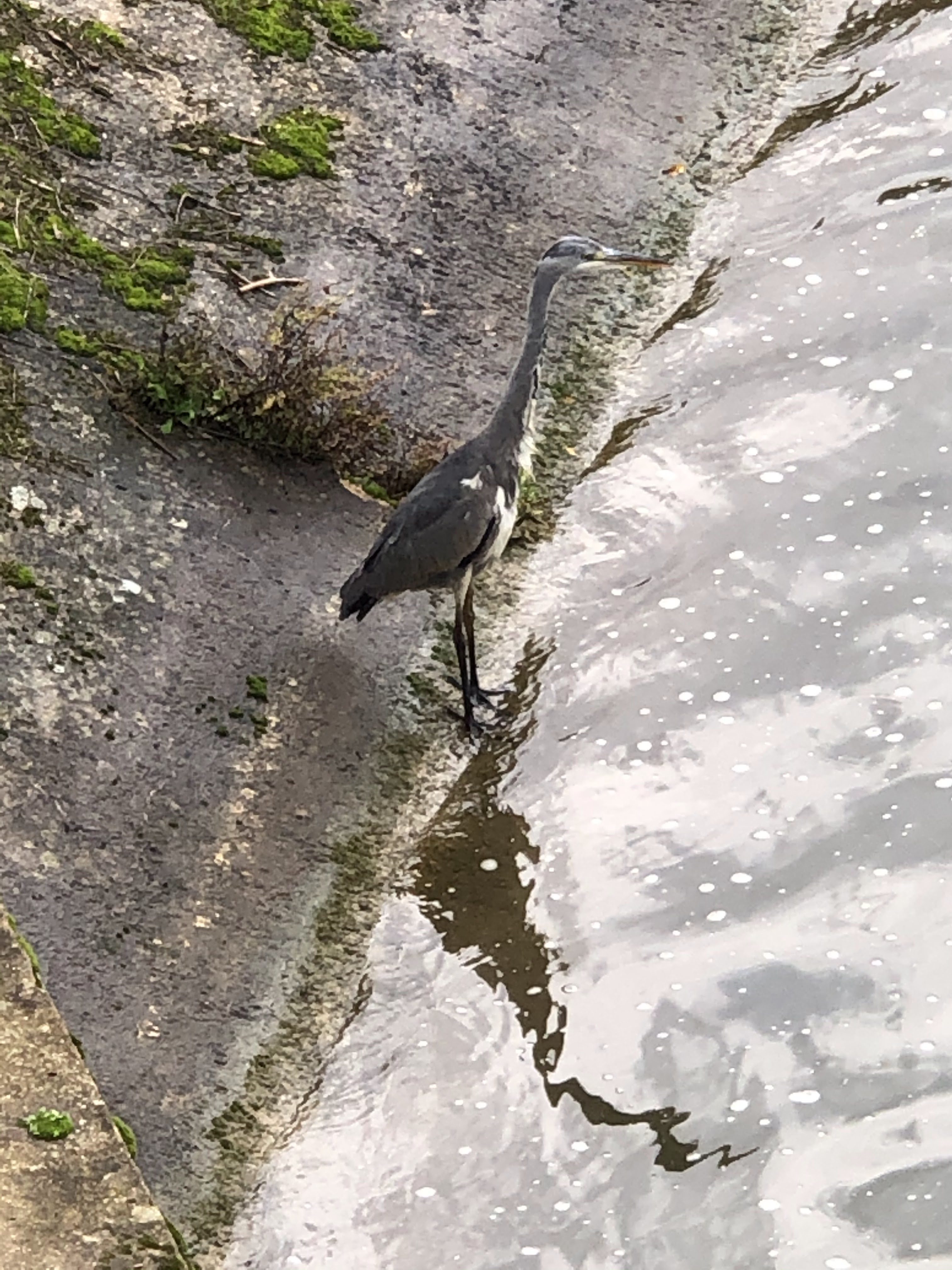 Photo n° 5 de l'avis de mickaël.a fait le 20/10/2019 à 11:43