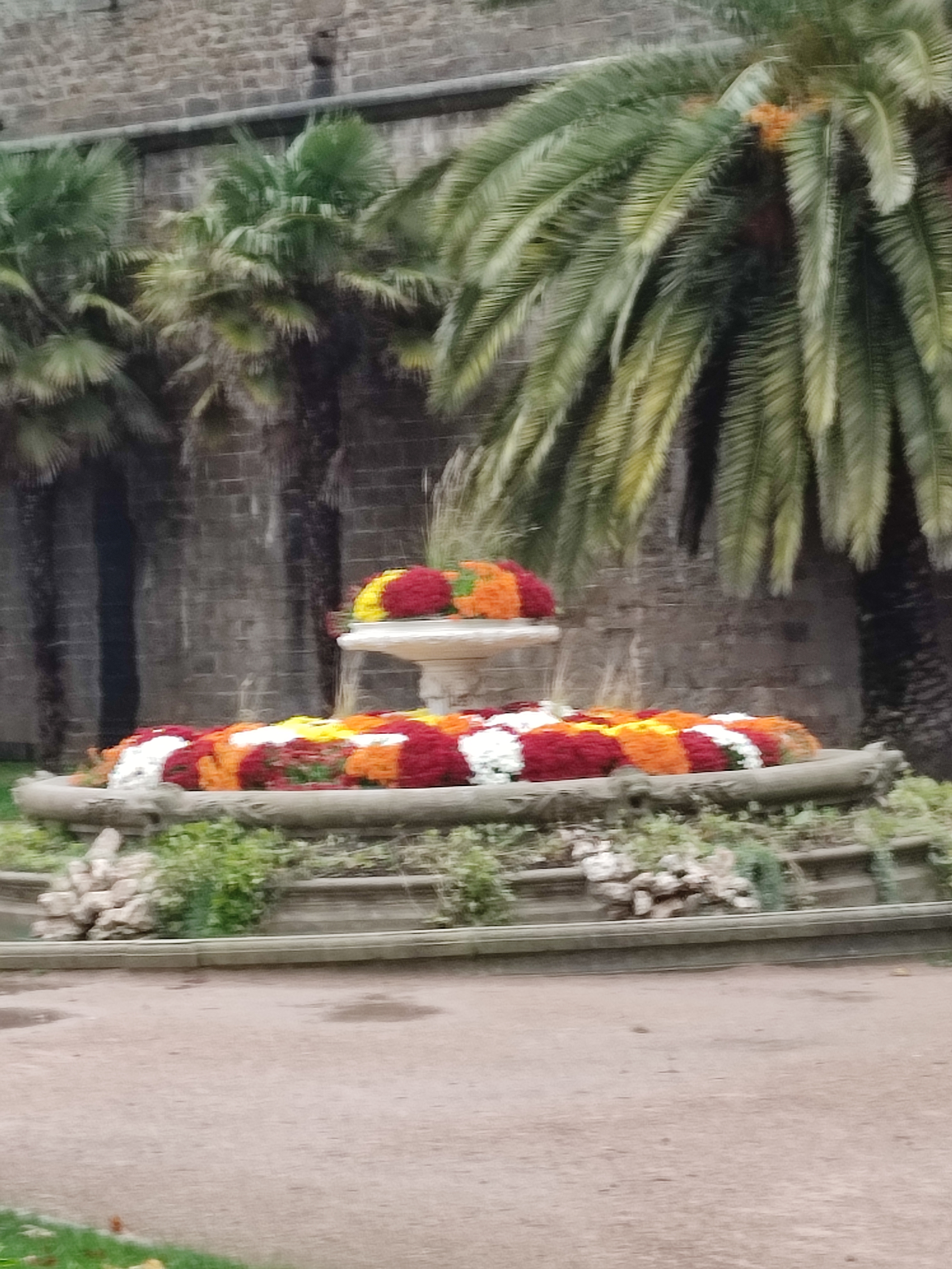 Photo n° 12 de l'avis de ouzé.e fait le 18/11/2023 à 19:48