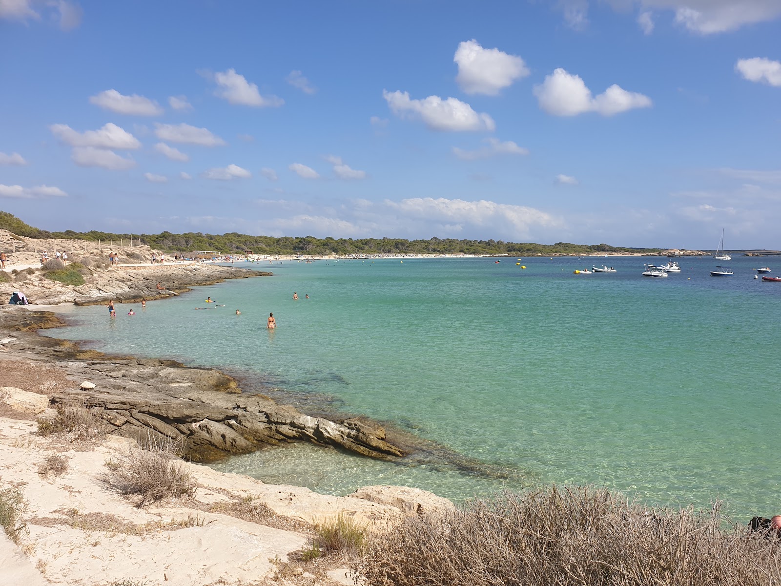 Foto von Platja de Cala Galiota annehmlichkeitenbereich