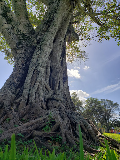 Park «Kendale Lakes Park», reviews and photos, 7850 SW 142nd Ave, Miami, FL 33183, USA