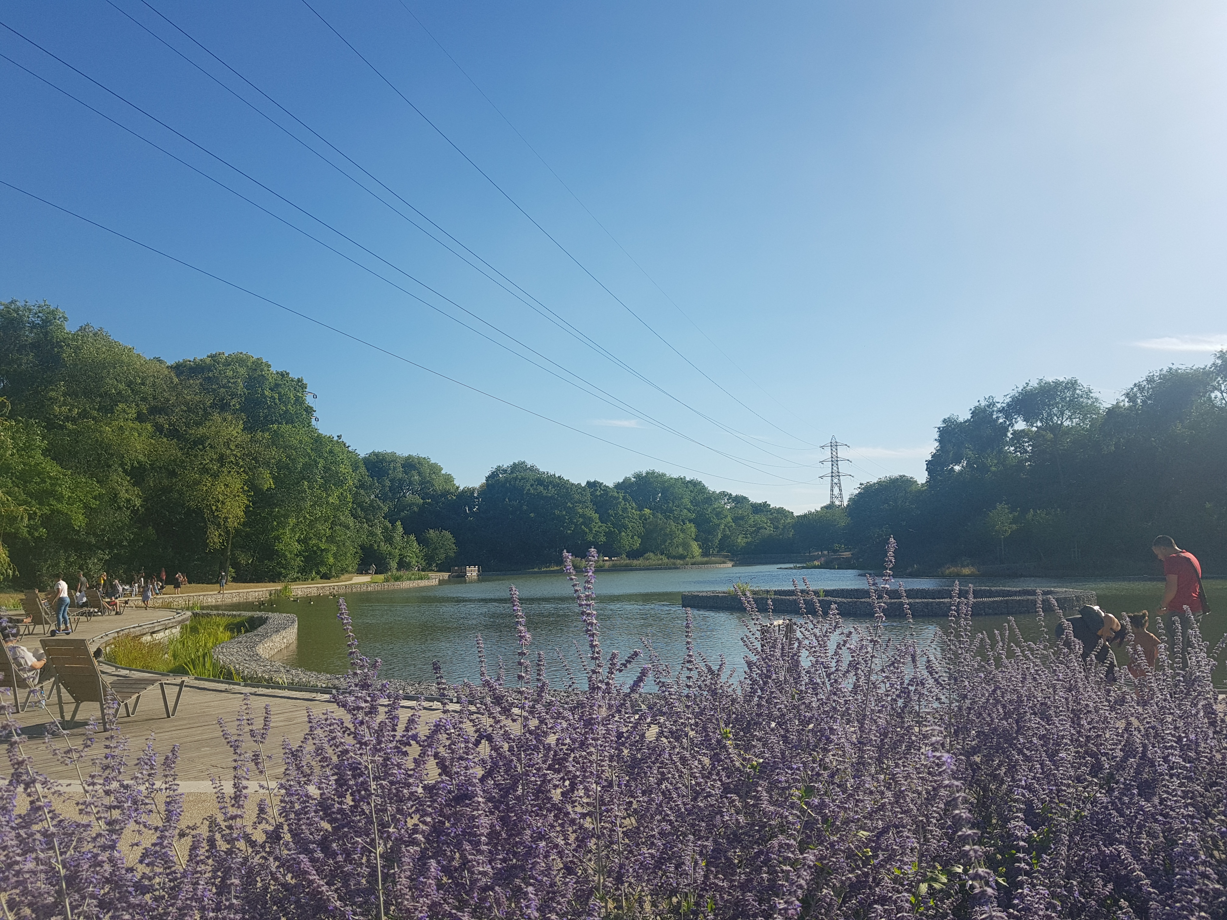 Photo n° 15 de l'avis de MATHIOT.Y fait le 29/07/2022 à 16:06