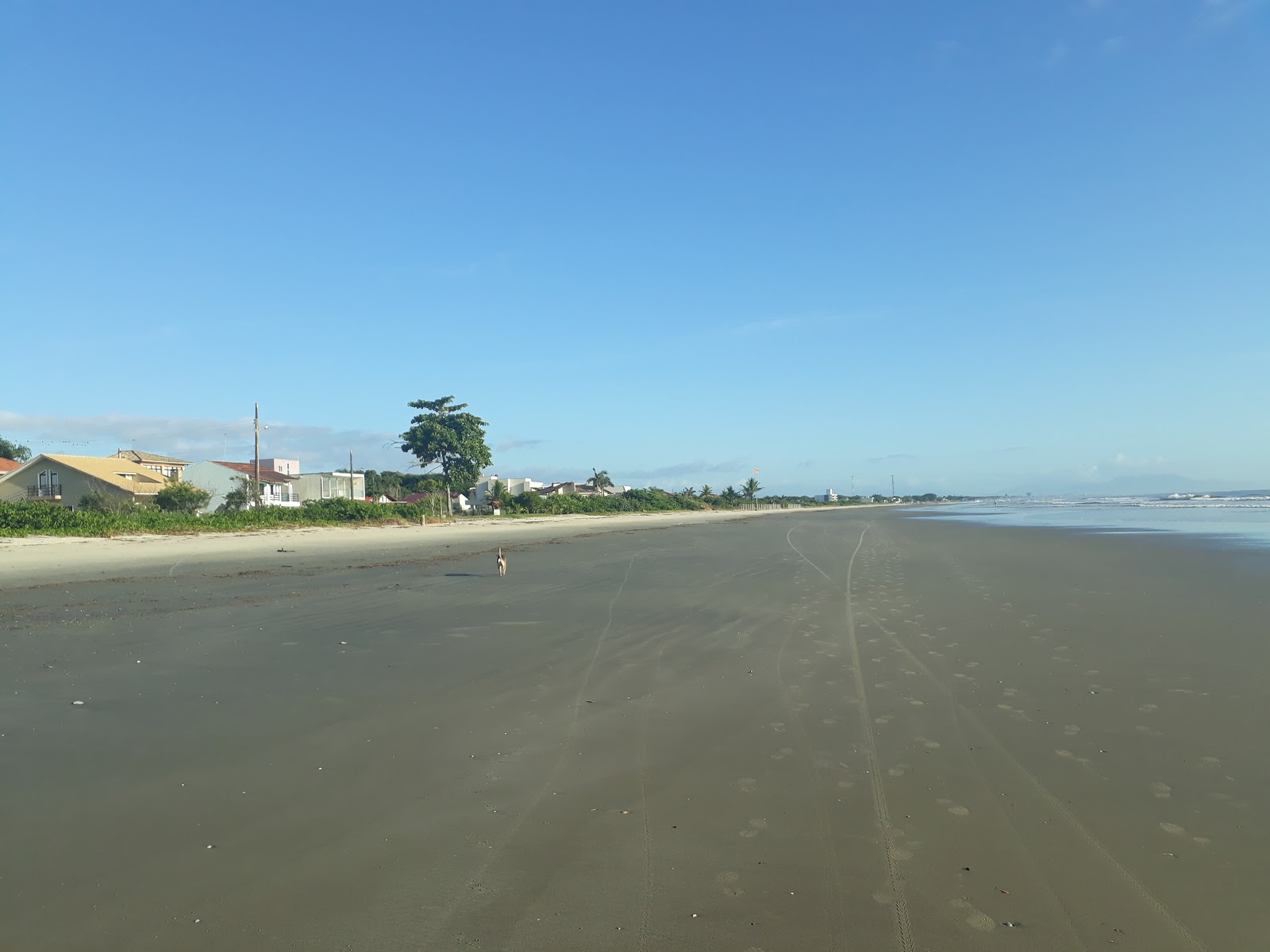 Foto von Itapoá Strand - beliebter Ort unter Entspannungskennern