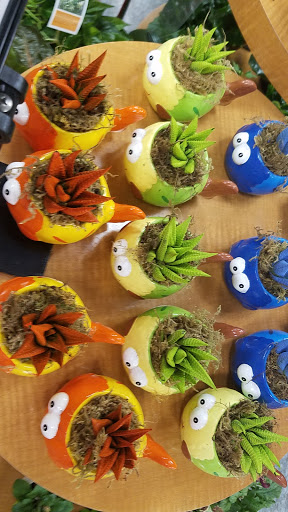 Supermarket «Super Stop & Shop», reviews and photos, 164 Main St, Saugus, MA 01906, USA