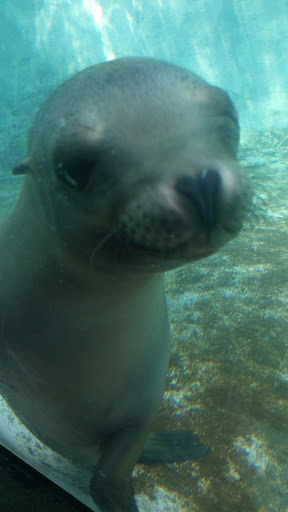 Zoo «Tropic World», reviews and photos, 3300 Golf Rd, Brookfield, IL 60513, USA