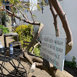 Photo n°4 de l'avis de Hryhorii.o fait le 11/05/2023 à 11:03 sur le  Cafetaria Viriato à Porto