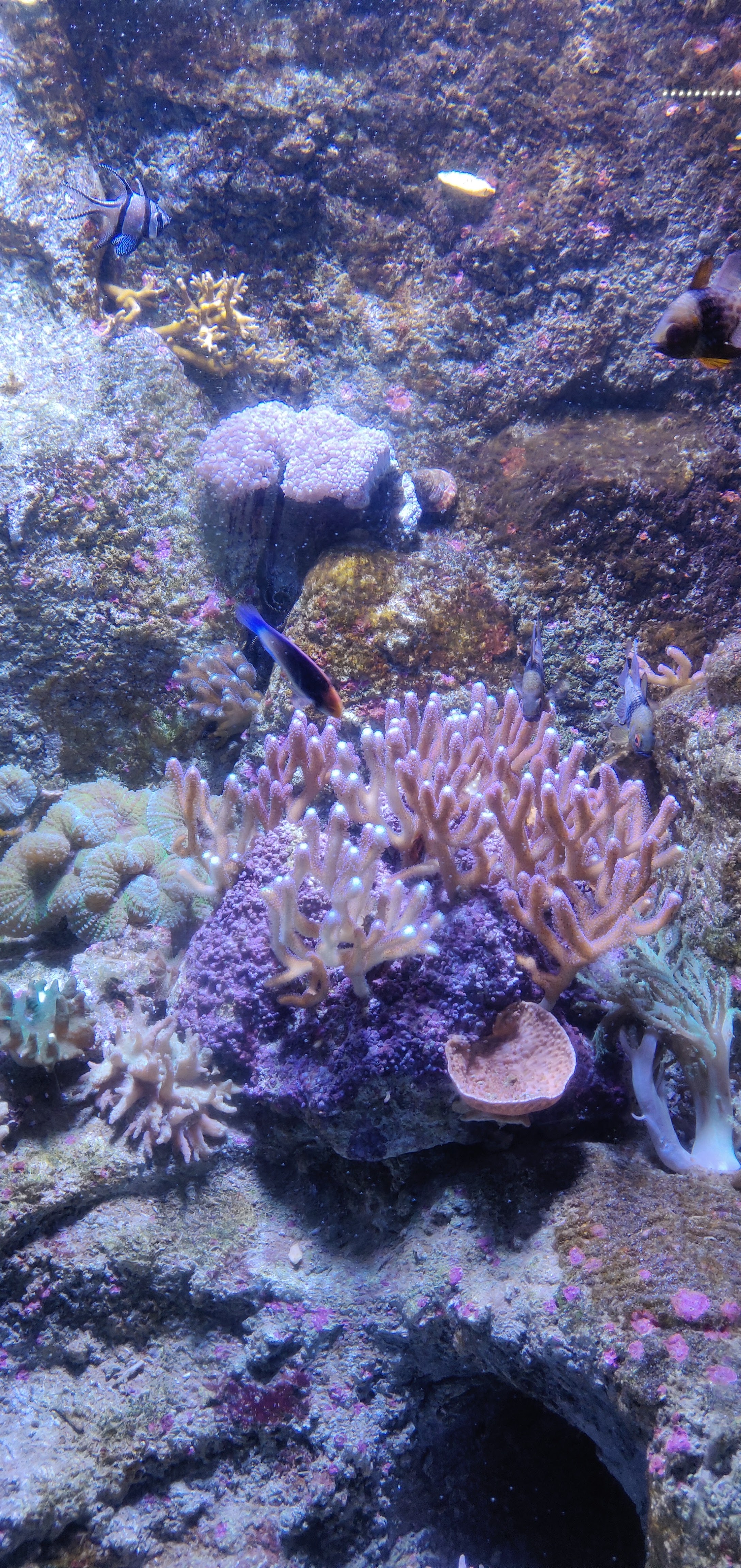 Photo n° 20 de l'avis de CHRISTIAN.A fait le 20/08/2019 à 17:52