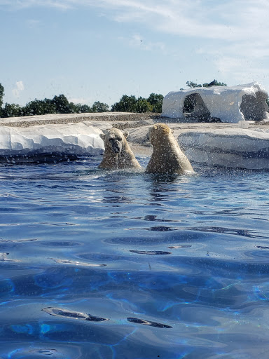 Zoo «Detroit Zoo», reviews and photos, 8450 W 10 Mile Rd, Royal Oak, MI 48067, USA